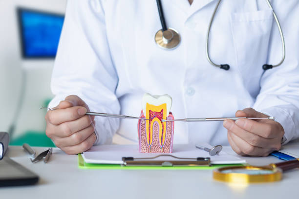 Best Urgent Tooth Repair  in Cuba, MO